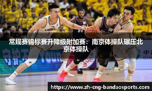 半岛体育官方网站